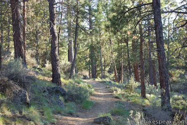 Archie Briggs Canyon Trail