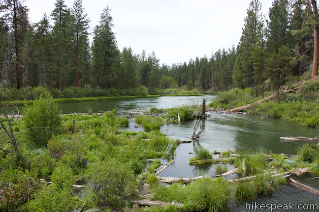 Deschutes River Trail Log Jam