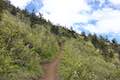 Black Butte Trail Hike
