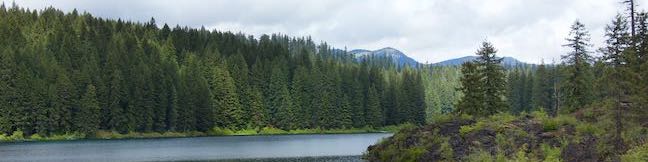 Clear Lake Loop Willamette National Forest Clear Lake Trail McKenzie River Trail Hike Oregon