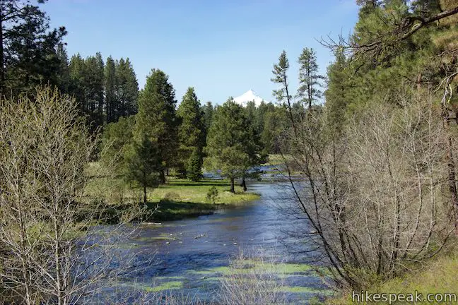 Metolius River View