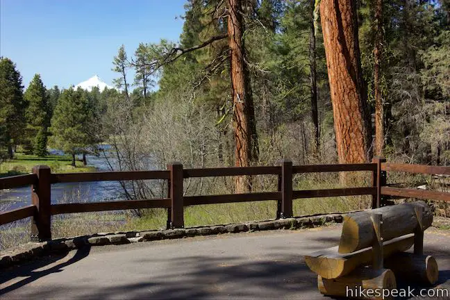 Head of the Metolius Trail