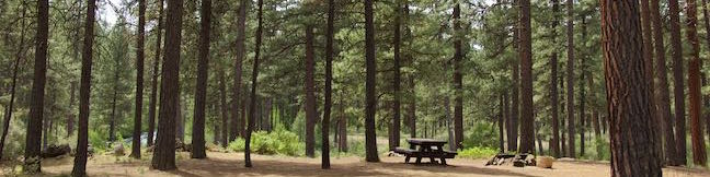 Lower Canyon Creek Campground Deschutes National Forest Metolius River Camp Sherman Oregon