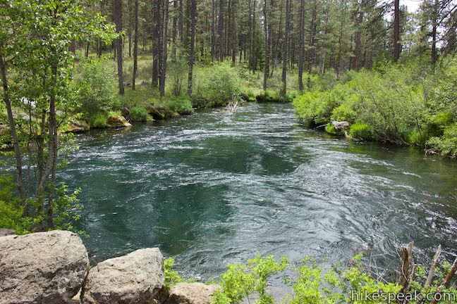 Lower Canyon Creek Campground