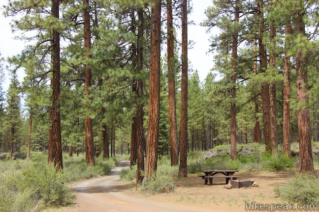 Lower Canyon Creek Campground