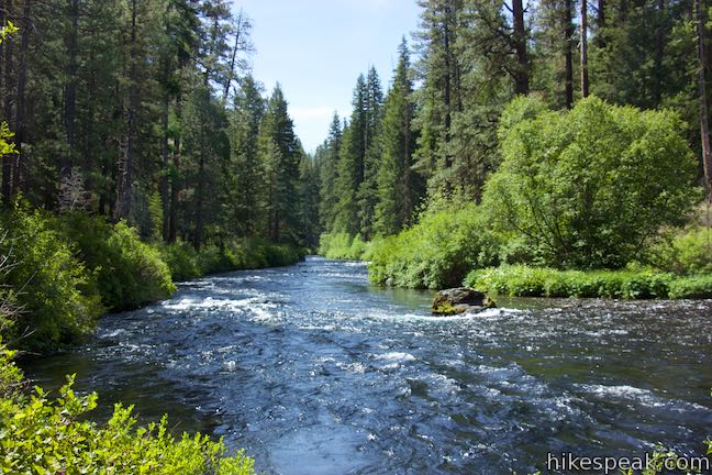 West Metolius River Trail Oregon Hikespeak West Metolius River Trail Oregon Hikespeak