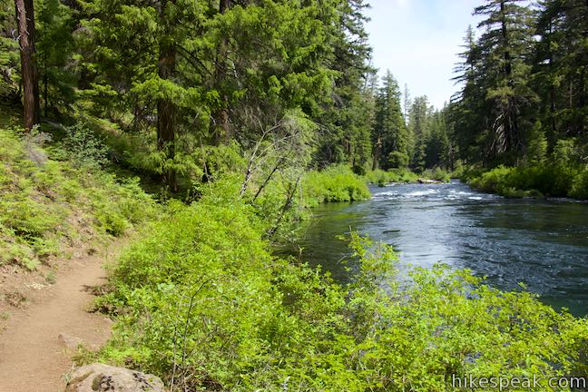 West Metolius River Trail Oregon Hikespeak West Metolius River Trail Oregon Hikespeak