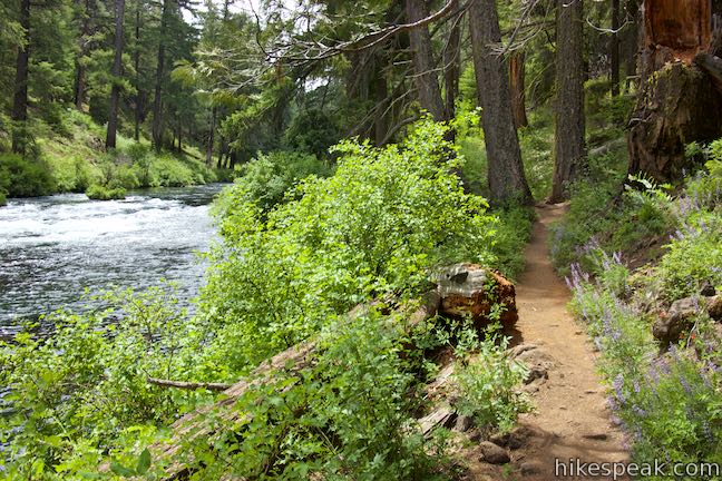 West Metolius River Trail Oregon Hikespeak West Metolius River Trail Oregon Hikespeak