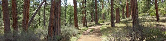 Shevlin Loop Trail Bend Oregon Hike Shevlin Park Tumalo Creek