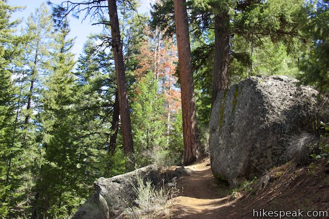 Shevlin Loop Trail