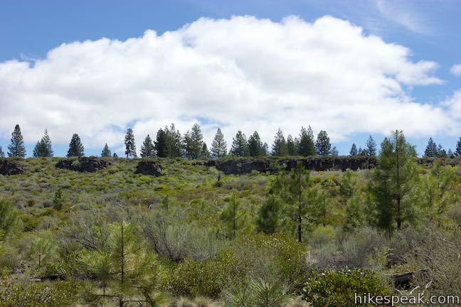 Shevlin Loop Trail