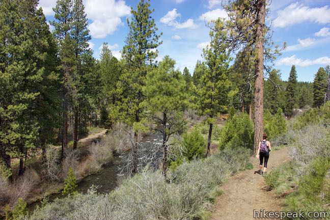 Shevlin Loop Trail Tumalo Creek