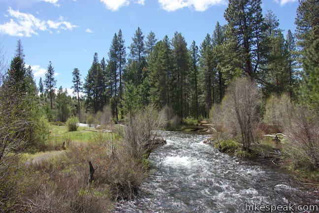 Tumalo Creek Shevlin Park