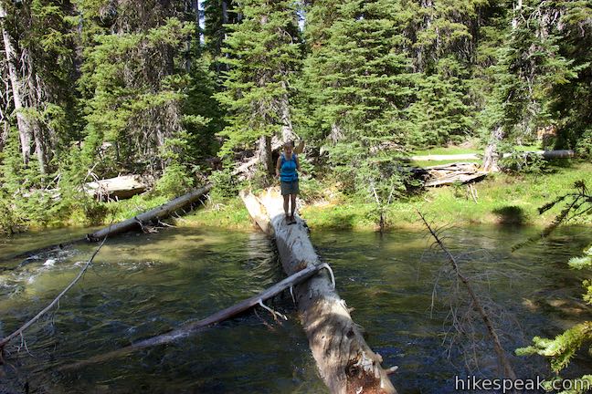 Swampy Lakes Trail Log Bridge