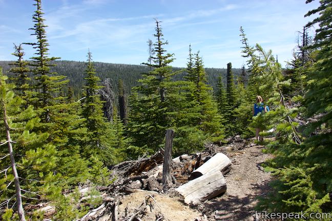 Swampy Lakes Trail