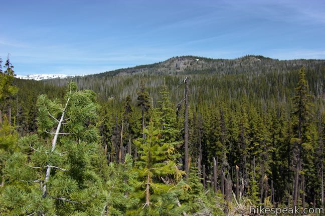 Swampy Lakes Trail View