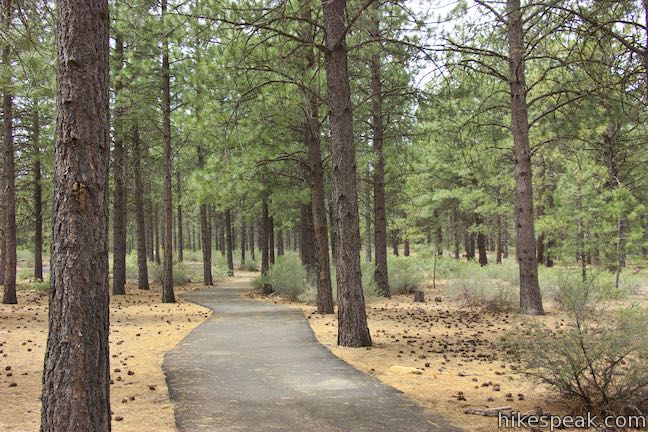 Trail of the Whispering Pines Newberry National Volcanic Monument