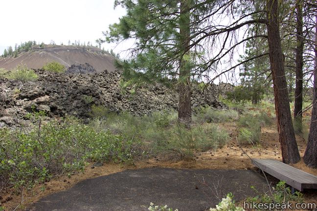 Trail of the Whispering Pines Viewpoint