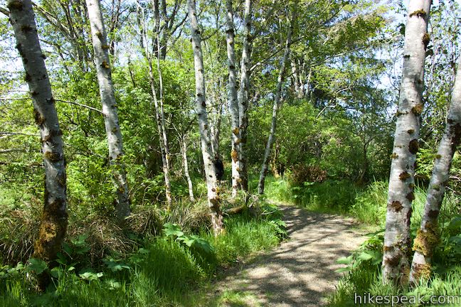 Alder Island Nature Trail