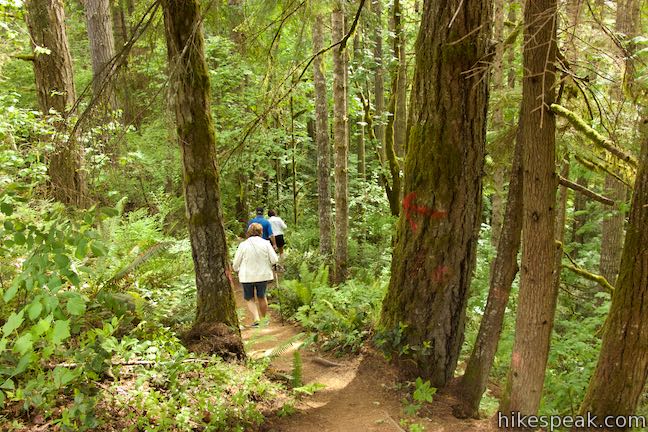 Beaver Falls Trail Oregon