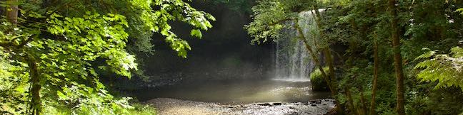 Beaver Falls Trail Oregon Beaver Creek Waterfall Clatskanie Columbia County Hike