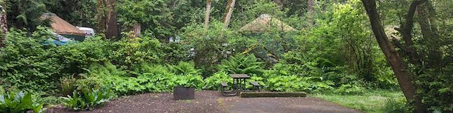 Cape Lookout State Park Campground Tillamook Coast Campsites Oregon Beach Camping