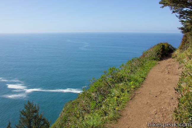 Cape Lookout Trail Oregon