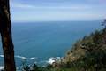 Cape Lookout Trail Overlook
