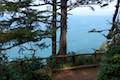 Cape Lookout Viewpoint
