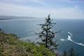 Cape Lookout Trail Viewpoint
