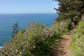 Cape Lookout Trail Cliffs