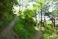 Oregon Coast Trail Switchbacks