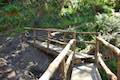 Oregon Coast Trail wooden bridge