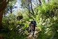 Oregon Coast Trail Hike