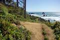 Ecola State Park Trail Overlooks
