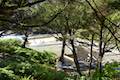 Canyon Creek Ecola State Park