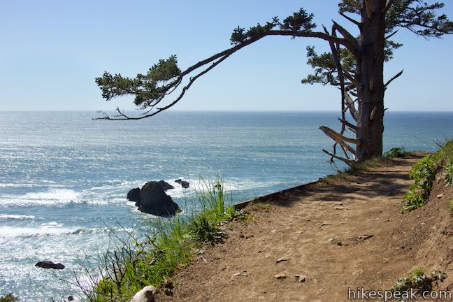 Ecola Point To Indian Beach Oregon Hikespeak Com
