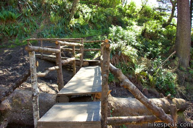 Oregon Coast Trail