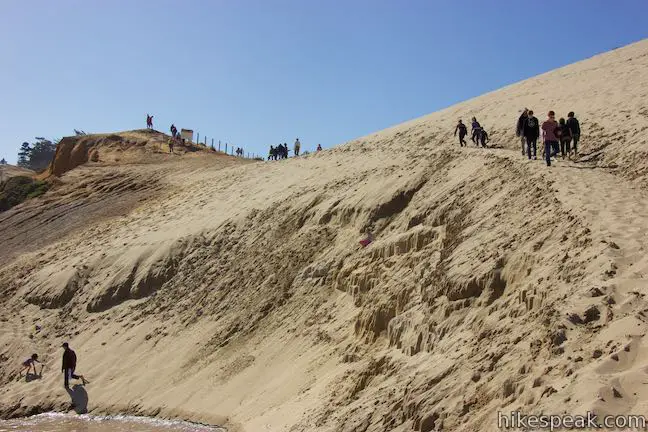 Cape Kiwanda Hike