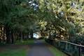 Cape Meares Lighthouse Trail