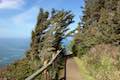 Cape Meares Lighthouse Trail Oregon