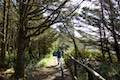 Cape Meares Lighthouse Trail Hike