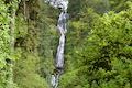 Munson Creek Falls Oregon