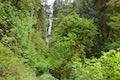 Munson Creek Falls Tillamook