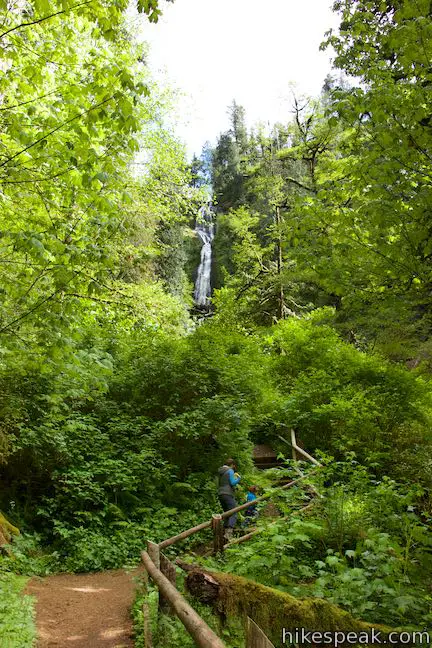 Munson Creek Falls Trail