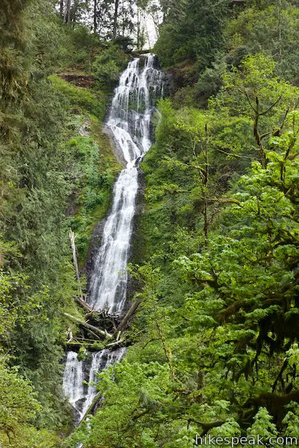 Munson Creek Falls