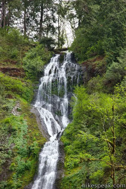 Munson Creek Falls Trail