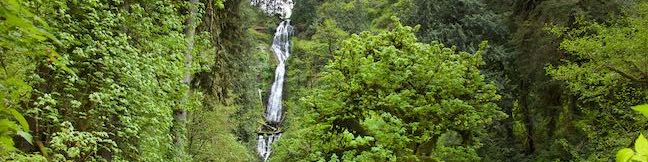 Munson Creek Falls Trail Tillamook Coast Range Waterfall Munson Creek Falls State Natural Site Oregon