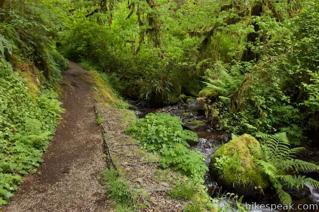 Munson Creek Falls Trail