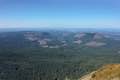 Saddle Mountain Oregon Coast Range